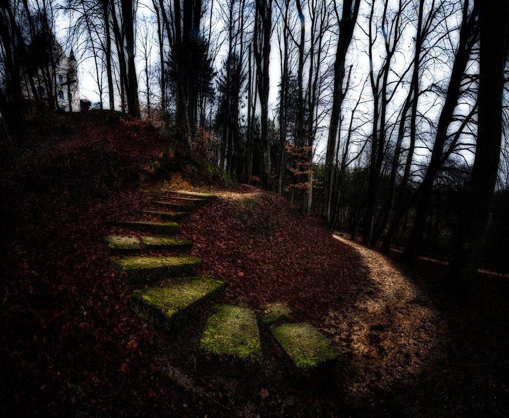 5. Platz Robert Seitz